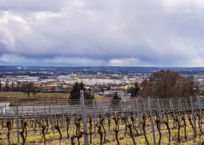 Nachhilfe in Leonding – Stadtansicht von Leonding